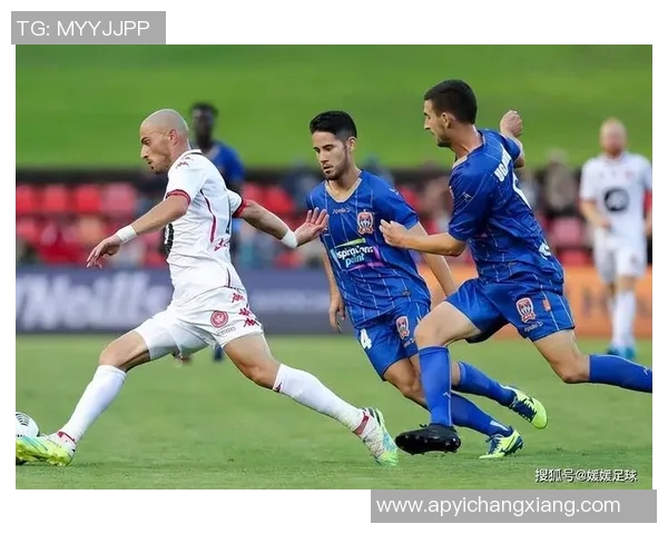 墨尔本篮球与足球明星综合排名揭晓谁将成为运动之王